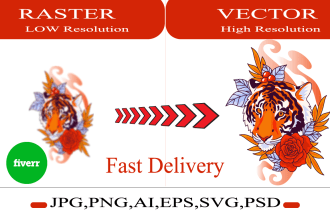 convert raster to vector, convert to ai, redraw logo, jpg or png to vector