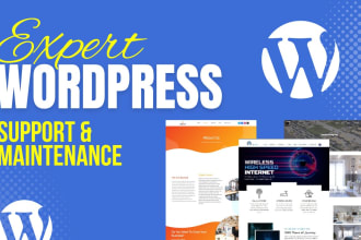 provide maintenance and support for your wordpress website