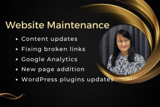 help you with wordpress update and maintenance