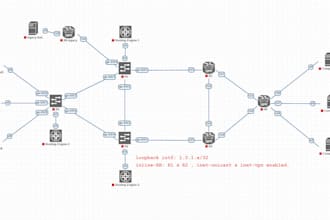 help you to build mpls network on juniper and cisco devices