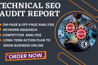 do technical SEO audit and share analysis reports with key strategy