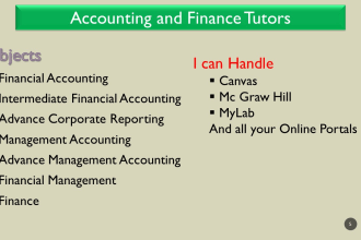 tutor you accounting, economics, finance and audit