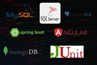 be your spring boot, angular developer