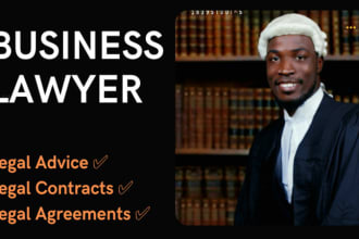 be your business lawyer, write agreement and legal contract