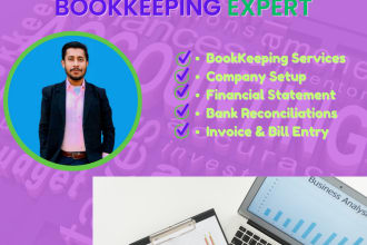 do accurate accounting and bookkeeping services with quickbook online and excel