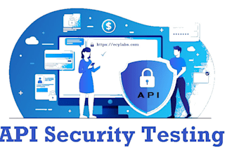 do web API security testing