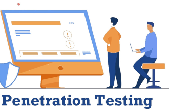 penetration testing for web