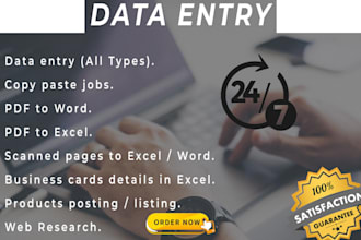 be your virtual assistant, data entry and copy paste