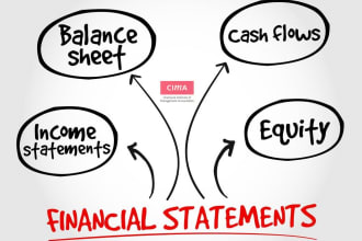 create financial statements , ptofit and loss , balance sheet, cash flow