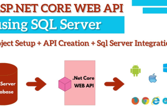 develop web API using asp net core with entity framework