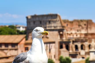 plan the italian trip of your life