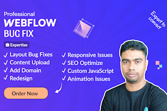 fix webflow bugs and webflow issues or redesign webflow website