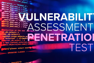 do vulnerability assessment and penetration testing