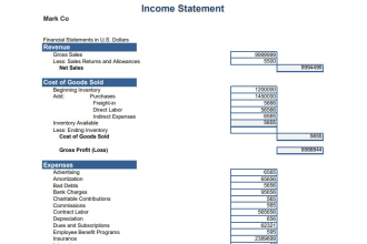 prepare an income statement, profit and loss, and balance sheet