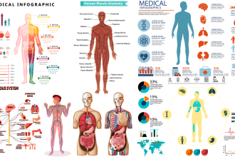 design anatomy scientific medical illustrations figures and diagrams