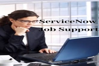give support as a servicenow developer on daily basis