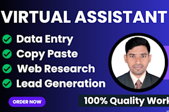 be your virtual assistant for web research, data entry, and data collection