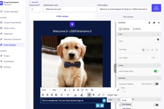 develop strapi, nextjs, reactjs app with ts or js backend