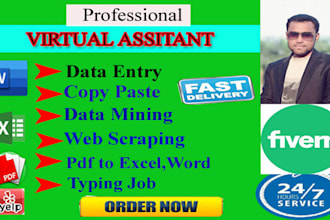 do data entry,copy paste,web recharge and virtual assistant