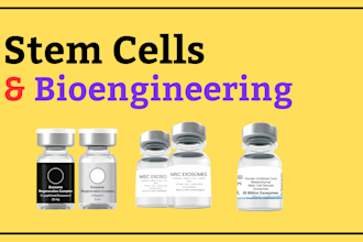 write on stem cells and bioengineering