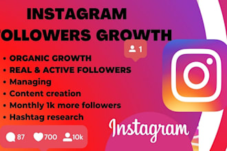 be your instagram manager and gain targeted followers