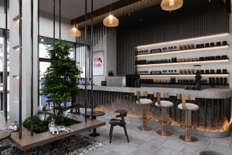 design residental entrance, restaurants or office interior