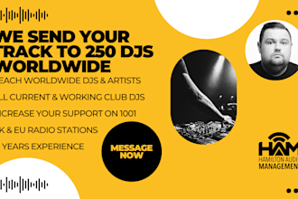 send your track to 250 djs