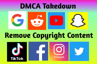 remove content on instagram ,tiktok,youtube,reddit,twitter,google under dmca
