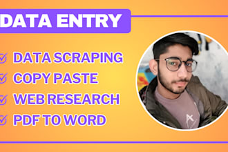 do excel data entry in low price, copy paste, web research
