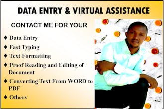 do data entry and text formatting