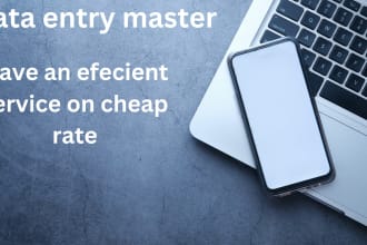 do accurate and efficient data entry services by a computer system engineer