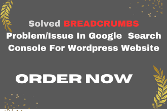 fix and solve wordpress breadcrumb problem for google search console