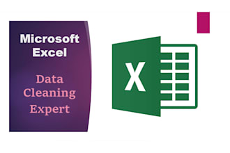 do excel data cleaning and spreadsheet cleanup