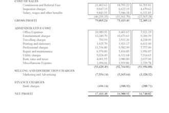 prepare profit or loss, balance sheet in excel and pdf