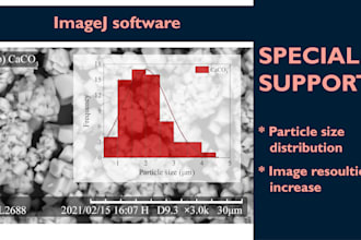 process SEM data and analyze the particle size distribution