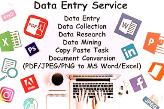 do data visualization,internet research and market reseearch etc