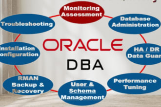 resolve oracle database administration and performance issues