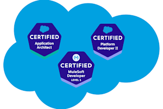 be the architect, developer and admin of your salesforce org