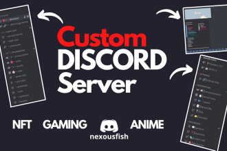 create a professional discord server setup for you