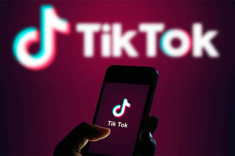 send takedown notice to report infringing content on tiktok