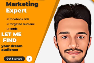 set up facebook and instagram ads for sales and leads