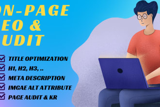 do website on page SEO optimization and technical audit