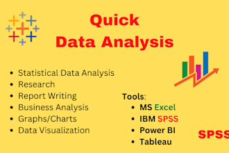 do spss and excel data analysis