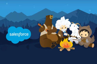 be your salesforce consultant for admin and development tasks