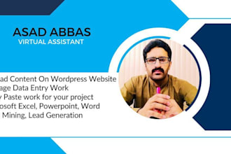manage data entry work, content upload on wordpress website