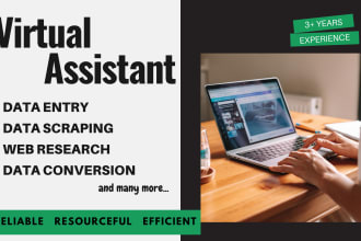 be your personal virtual assistant, professional virtual assistant