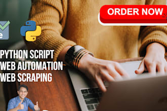 create custom python automation, scripting, and web scraping