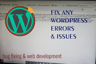 fix wordpress any errors