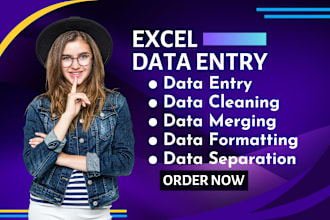 do excel data entry, data formatting, marge, cleaning, split