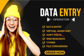 data entry, ms word, and excel data entry